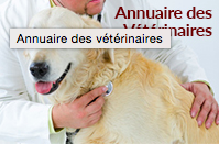 trouvez un vétérinaire à Bordeaux et partout en France grâce au Guide Santé